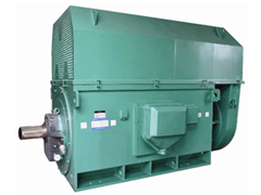 林口Y系列6KV高压电机